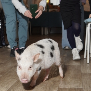 21 - Авторское «Иммерсивное шоу» заказать в Москве