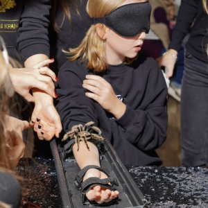 22 - Авторское «Иммерсивное шоу» заказать в Москве