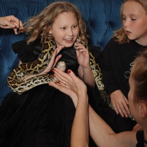 23 - Авторское «Иммерсивное шоу» заказать в Москве