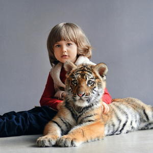 Хищные кошки
