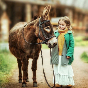 Осёл