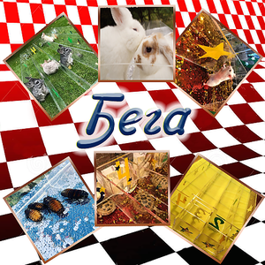Бега