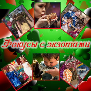 Фокусы с экзотами