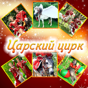 Царский цирк