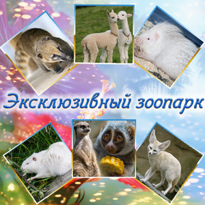 Эксклюзивный зоопарк