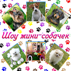 Шоу мини-собачек