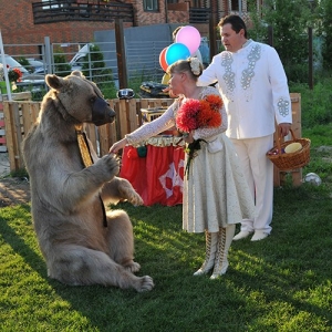 9 - Дрессированный медведь на праздник - от 30 000 руб.