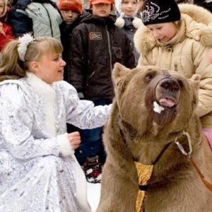11 - Дрессированный медведь на праздник - от 30 000 руб.